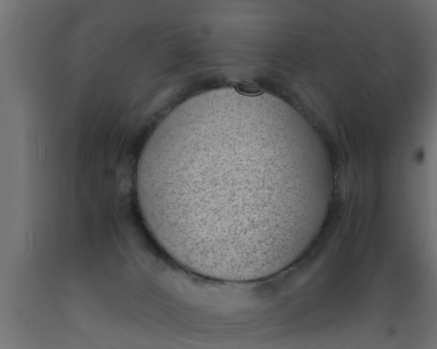 X0000089460032200707061312