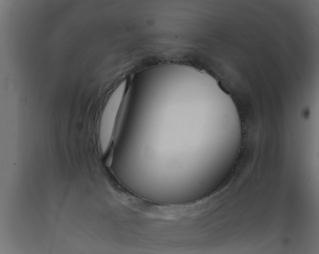 X0000089460033200707061312