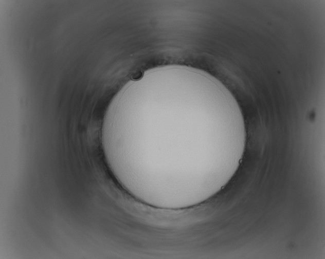 X0000089460034200707061312