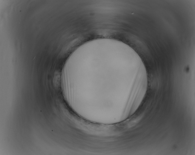 X0000089460036200707061312