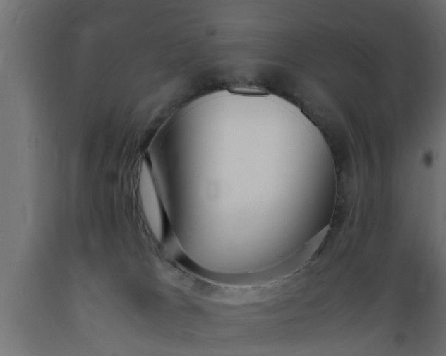 X0000089460037200707061312