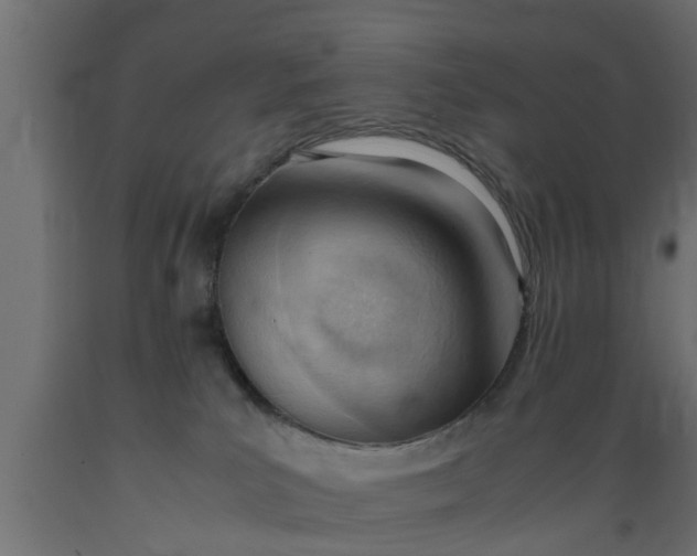 X0000089460039200707061312