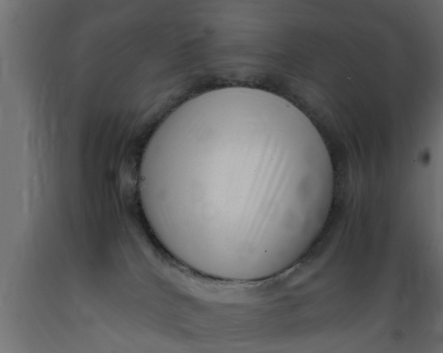 X0000089460040200707061312