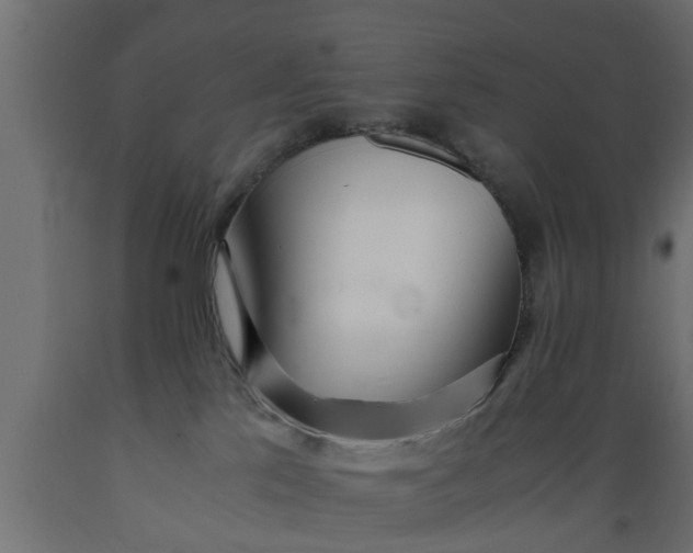 X0000089460041200707061312