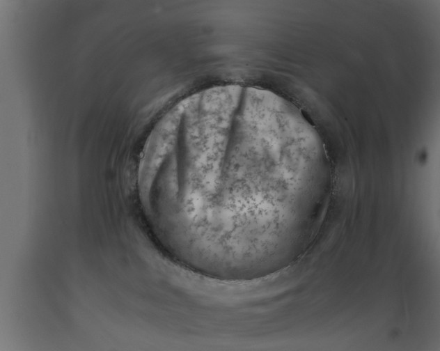 X0000089460043200707061312