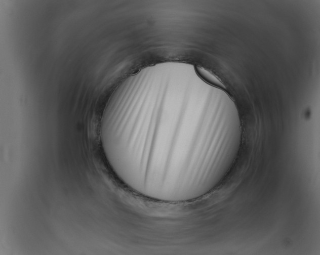 X0000089460044200707061312