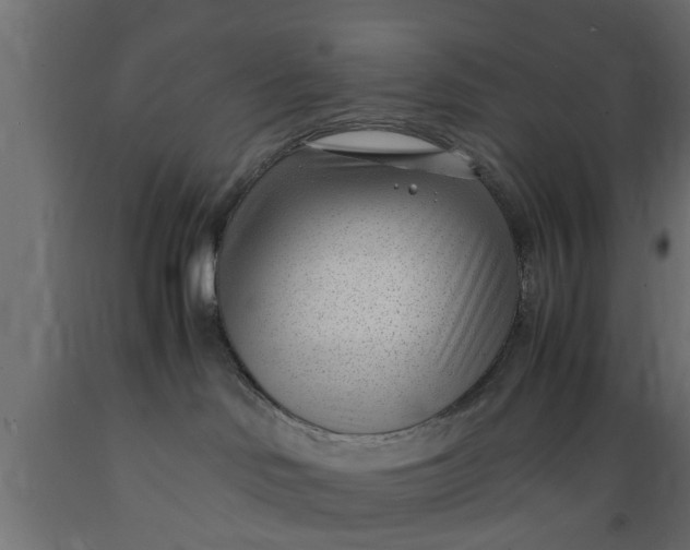 X0000089460046200707061312