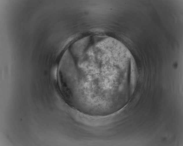 X0000089460047200707061312