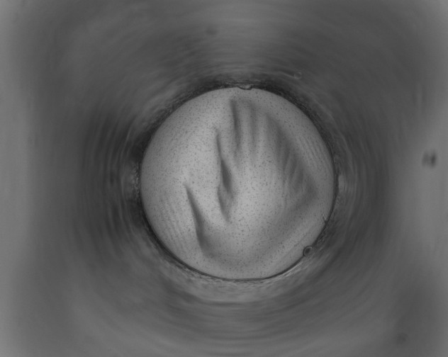 X0000089460048200707061312