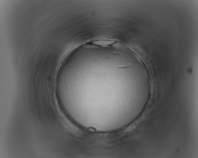 X0000089460049200707061311
