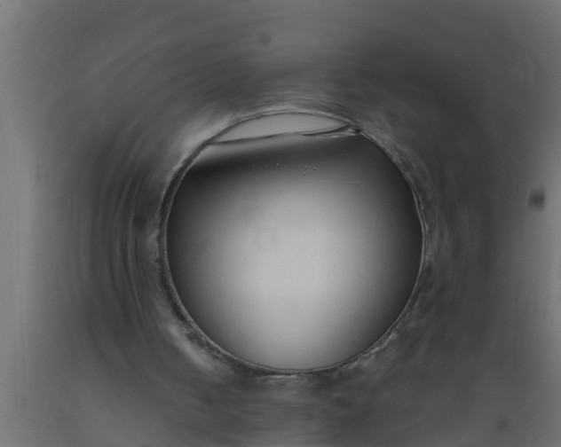 X0000089460050200707061311