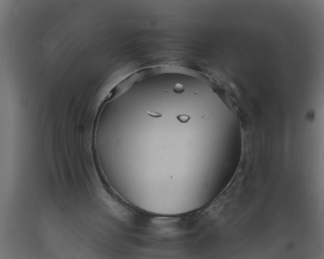 X0000089460051200707061311