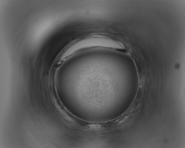 X0000089460052200707061311