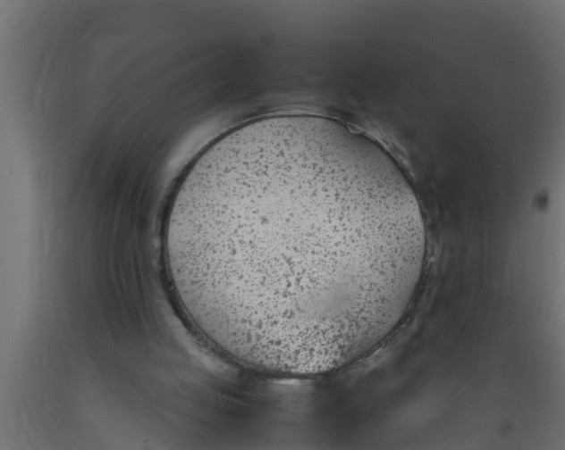 X0000089460053200707061311