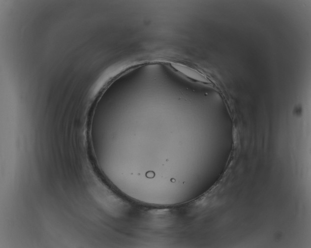 X0000089460054200707061311
