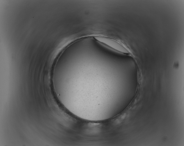 X0000089460055200707061311