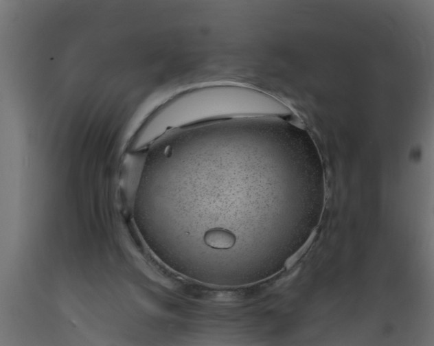 X0000089460056200707061311