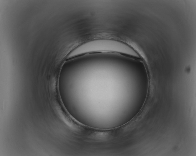 X0000089460057200707061311