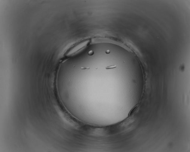 X0000089460058200707061311