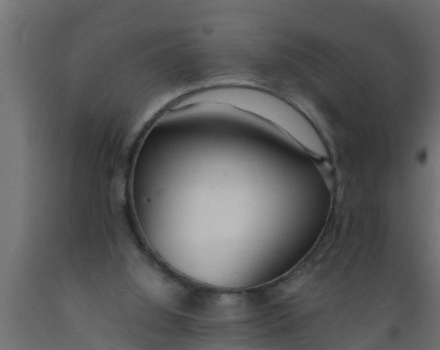 X0000089460060200707061311