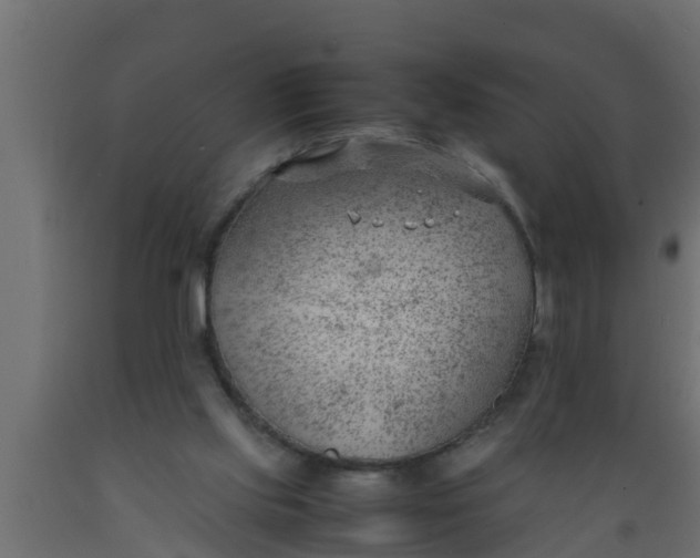 X0000089460061200707061311