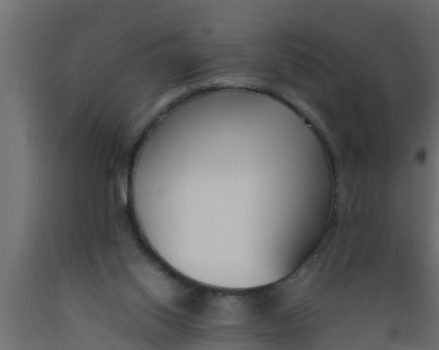 X0000089460062200707061311