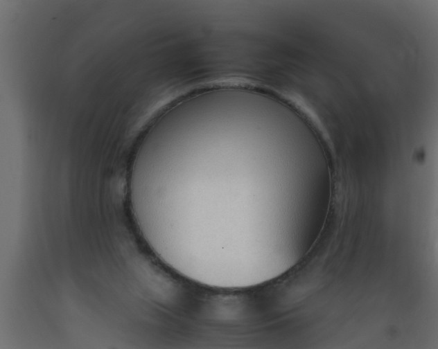 X0000089460063200707061311