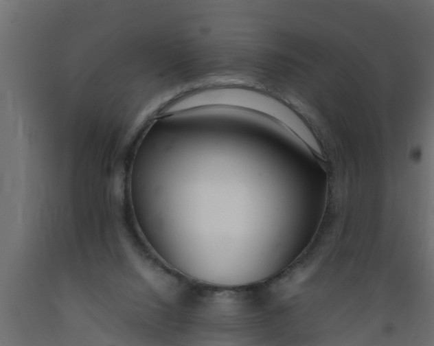 X0000089460064200707061311