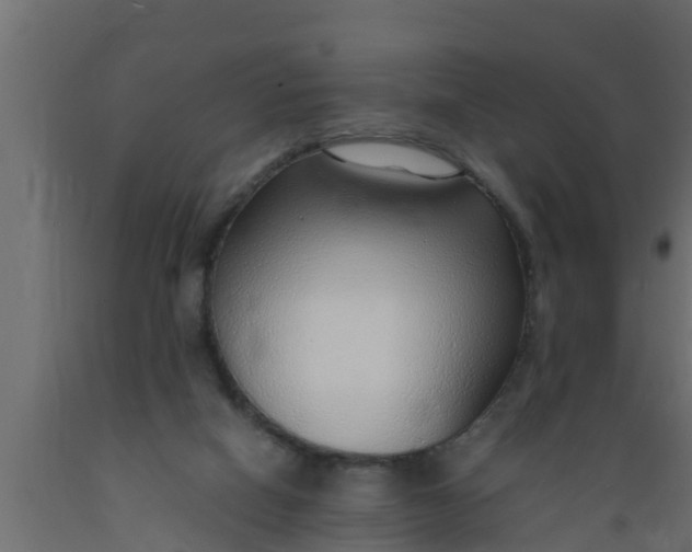 X0000089460066200707061311