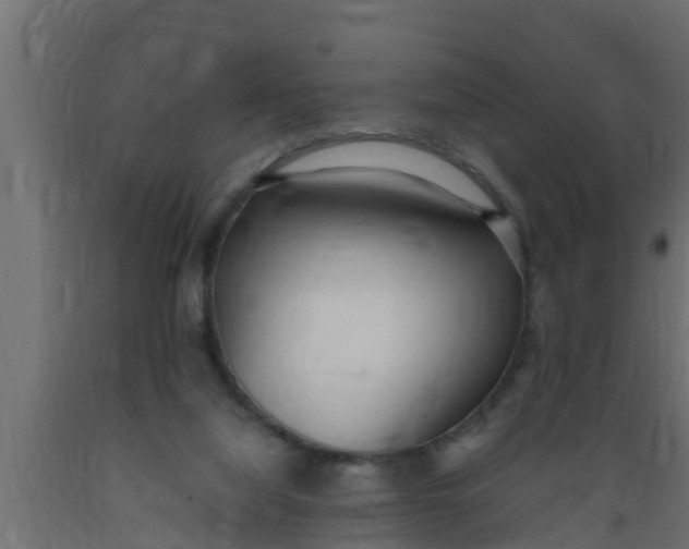 X0000089460068200707061311