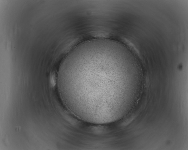 X0000089460069200707061311