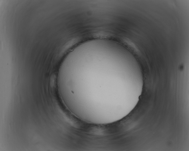 X0000089460071200707061311