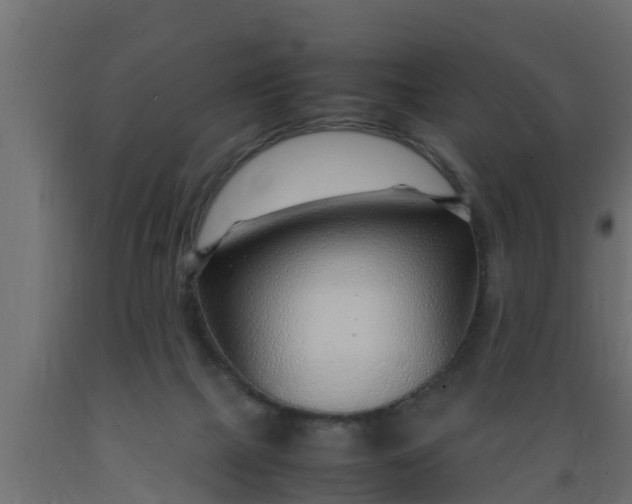 X0000089460073200707061311