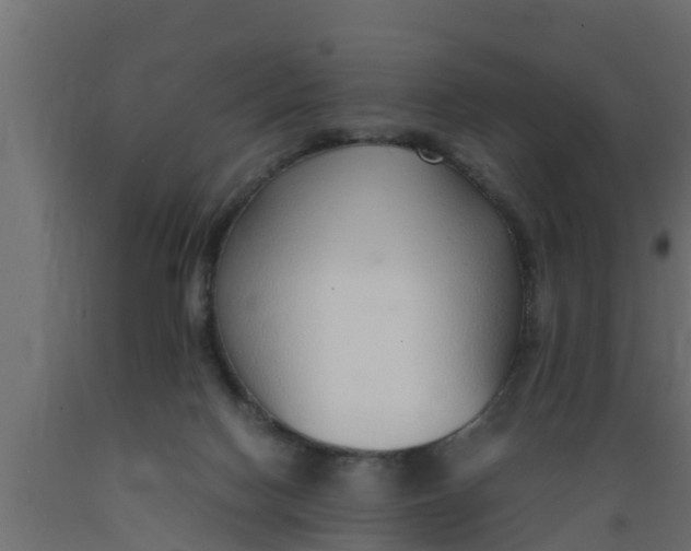 X0000089460074200707061311