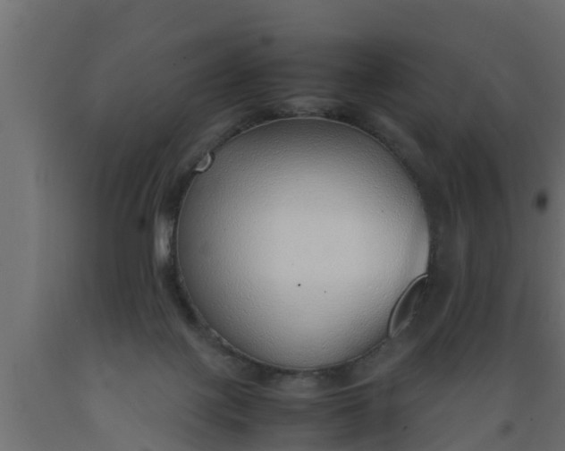 X0000089460075200707061311