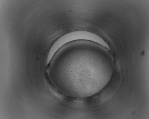 X0000089460076200707061311