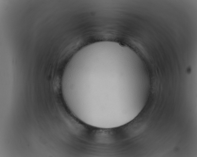 X0000089460077200707061311