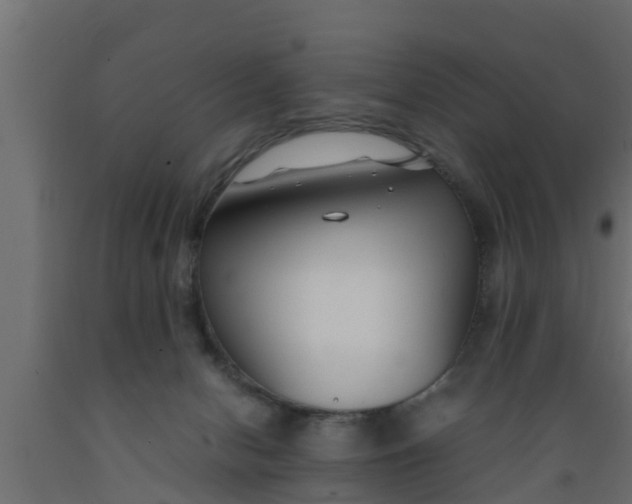 X0000089460078200707061311