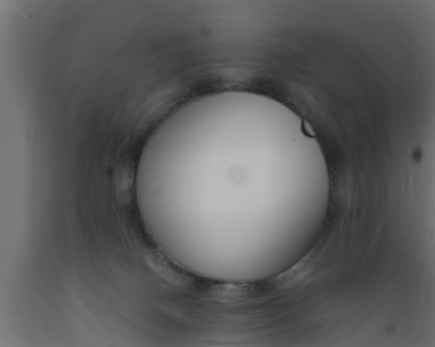 X0000089460082200707061312