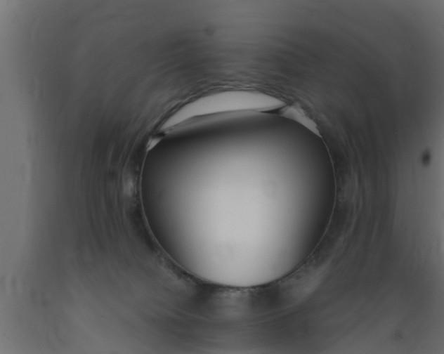 X0000089460084200707061312