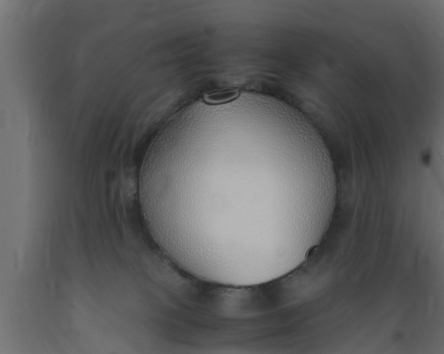 X0000089460085200707061312