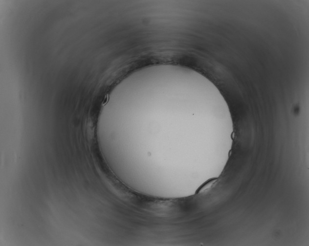 X0000089460086200707061312