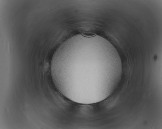 X0000089460087200707061312