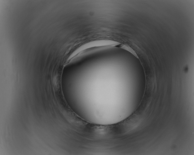 X0000089460088200707061312
