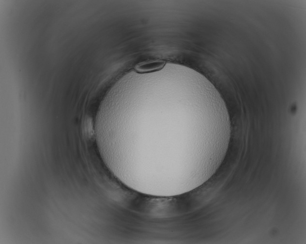 X0000089460089200707061312