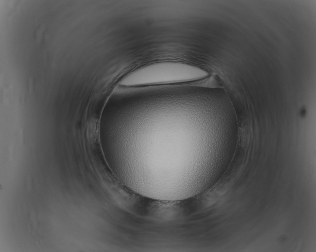 X0000089460093200707061312