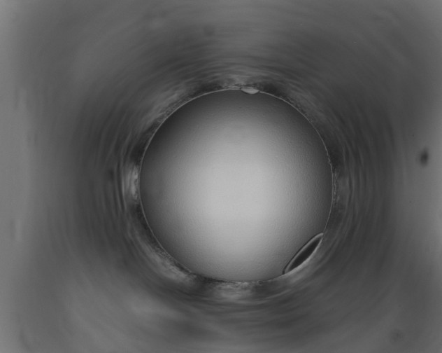 X0000089460094200707061312
