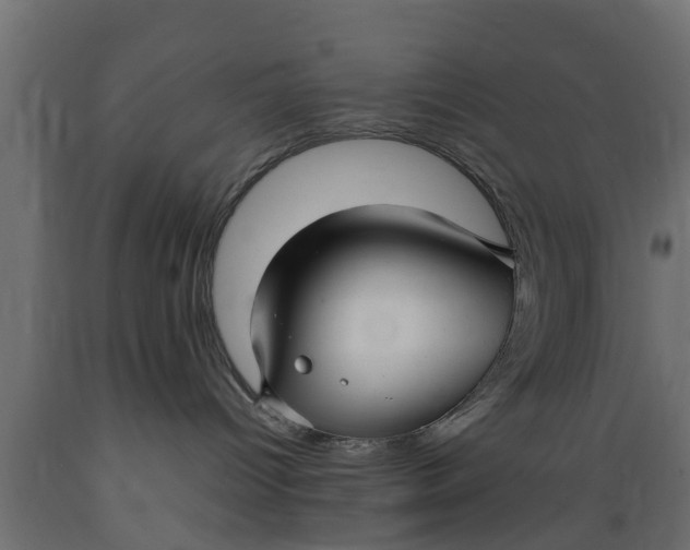 X0000089460096200707061312