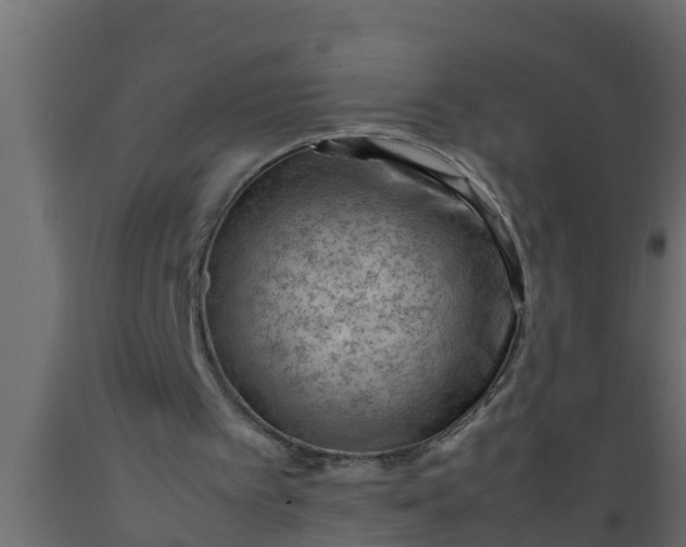 X0000089460097200707061311