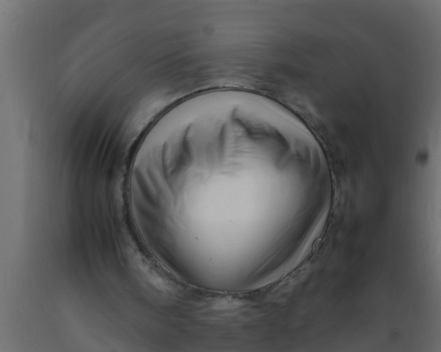 X0000089460098200707061311